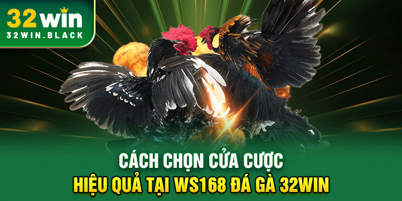 Cách chọn cửa cược hiệu quả tại WS168 đá gà 32WIN