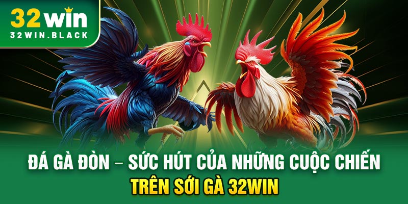 đá gà đòn