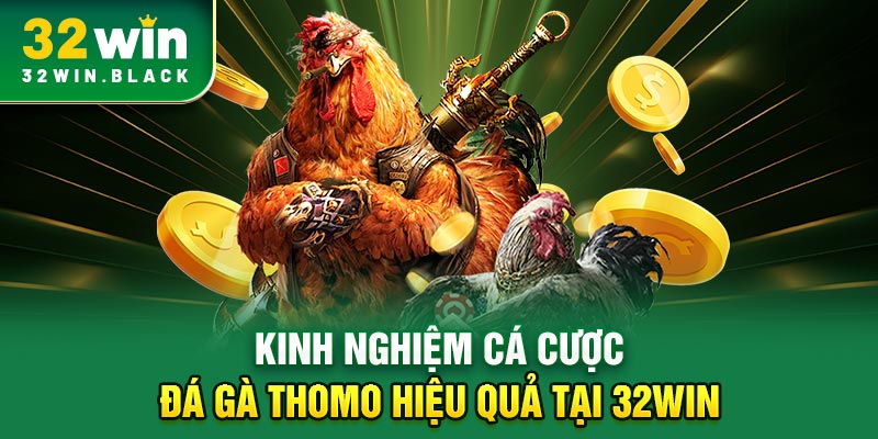Kinh nghiệm cá cược đá gà Thomo hiệu quả tại 32WIN