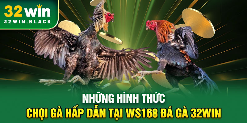Những hình thức chọi gà hấp dẫn tại WS168 đá gà 32WIN