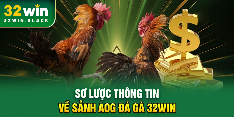 Sơ lược thông tin về sảnh AOG đá gà 32WIN