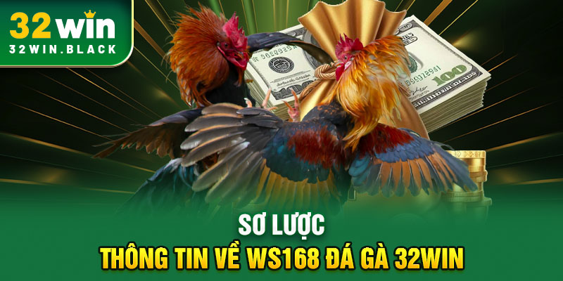 Sơ lược thông tin về WS168 đá gà 32WIN